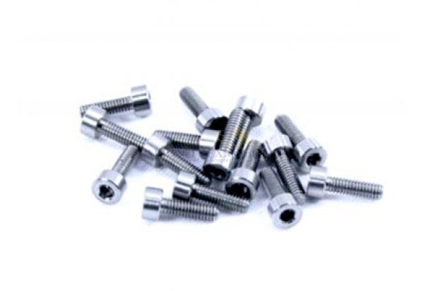 Stainless Steel Screws