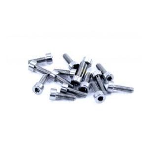 Stainless Steel Screws