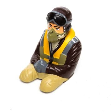 Pilot: P-51D 20cc Z-HAN282009