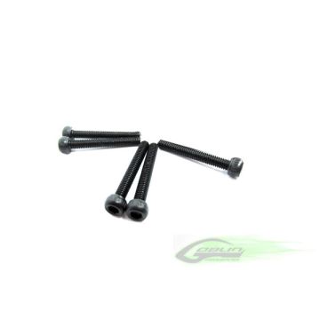 DIN 12.9 Socket Head Cap M2,5x18 (5pcs) - Goblin 700 [HC032-S]