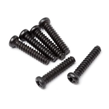 Button Head Screw M2x10 (6pcs) MV25039 