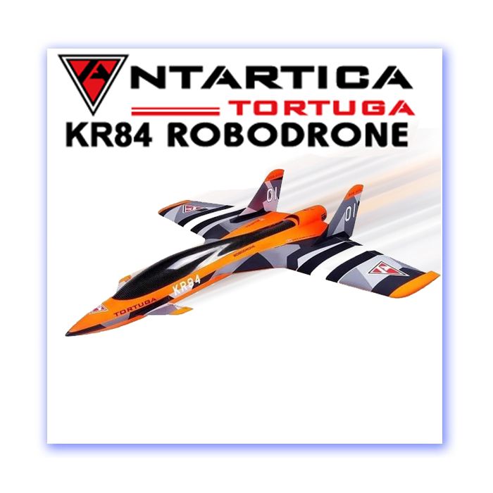 Tortuga rc store plane